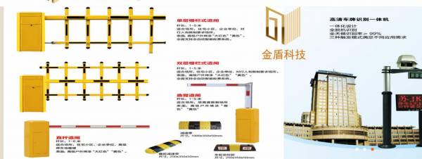 金湖县*盾科技网站建设有创意的主题设计